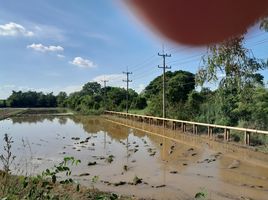  Grundstück zu verkaufen in Mueang Phichit, Phichit, Pak Thang, Mueang Phichit