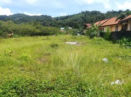  Grundstück zu verkaufen in Kathu, Phuket, Kamala