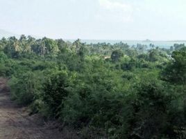  Land for sale in Samui International Airport, Bo Phut, Bo Phut