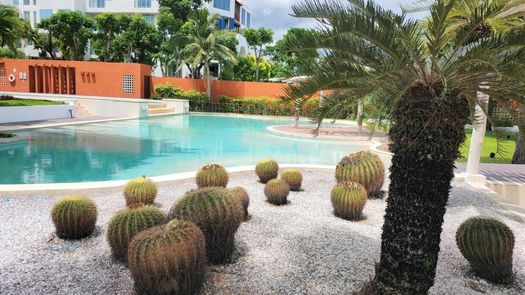 사진들 1 of the Communal Garden Area at Las Tortugas Condo