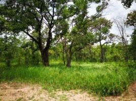  Land for sale in Pho Sai, Phibun Mangsahan, Pho Sai