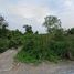  Land for sale in Lam Luk Ka, Pathum Thani, Lam Luk Ka, Lam Luk Ka