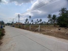  Grundstück zu verkaufen in Pattaya, Chon Buri, Pong, Pattaya