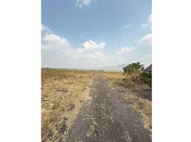  Land for sale in Kanchanaburi, Wang Dong, Mueang Kanchanaburi, Kanchanaburi