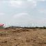  Land for sale in Khok Krabue, Samut Sakhon, Khok Krabue