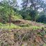  Land for sale in Maret, Surat Thani, Maret