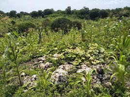  Land for sale in Sumba Barat East Nusa Tenggara, Kodi, Sumba Barat, East Nusa Tenggara, Indonesia