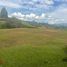  Land for sale in Colombia, Medellin, Antioquia, Colombia