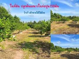  Land for sale in Udon Thani International Airport, Na Di, Na Di