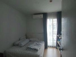 2 Schlafzimmer Wohnung zu verkaufen im Deco Condominium, Bang Na, Bang Na, Bangkok