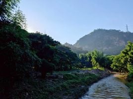 4 спален Дом for sale in Rong Kwang Phrae, Phai Thon, Rong Kwang, Phrae