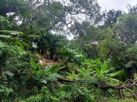  Land for sale in Kathu, Phuket, Kamala, Kathu