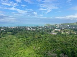  Grundstück zu verkaufen in Koh Samui, Surat Thani, Bo Phut