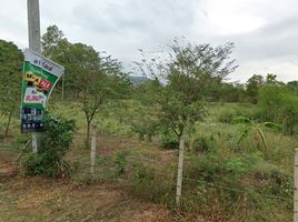  Grundstück zu verkaufen in Hua Hin, Prachuap Khiri Khan, Hua Hin City