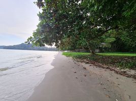  Land for sale in Thailand, Chak Phong, Klaeng, Rayong, Thailand