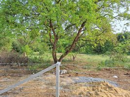  Land for sale in Nakhon Pathom, Thap Luang, Mueang Nakhon Pathom, Nakhon Pathom