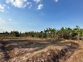  Grundstück zu verkaufen in Tha Yang, Phetchaburi, Khao Krapuk, Tha Yang, Phetchaburi