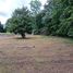 Land for sale in Nicoya Guanacaste, Nicoya, Guanacaste