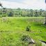 Land for sale in Presidente Figueiredo, Presidente Figueiredo, Presidente Figueiredo