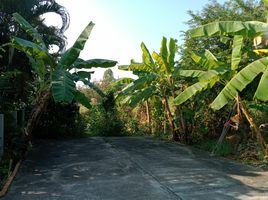 2 Schlafzimmer Villa zu verkaufen in Doi Saket, Chiang Mai, San Pu Loei, Doi Saket