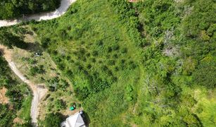 N/A Land for sale in Choeng Thale, Phuket 