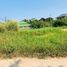  Land for sale in Pak Chong, Pak Chong, Pak Chong