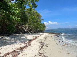 ขายที่ดิน ใน ถลาง ภูเก็ต, ป่าคลอก, ถลาง, ภูเก็ต, ไทย