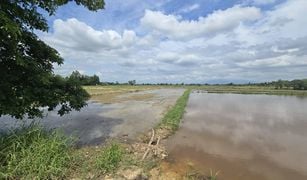 N/A Land for sale in Buak Khang, Chiang Mai 