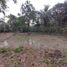  Land for sale in Limon, Siquirres, Limon