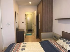 1 Schlafzimmer Appartement zu vermieten im Tree Condo Sukhumvit 42, Phra Khanong