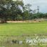  Land for sale in Ubon Ratchathani, Kaeng Dom, Sawang Wirawong, Ubon Ratchathani