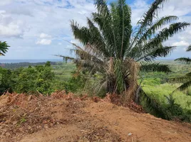  Land for sale in Phuket, Mai Khao, Thalang, Phuket