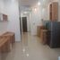 Studio Villa for rent in District 7, Ho Chi Minh City, Tan Hung, District 7
