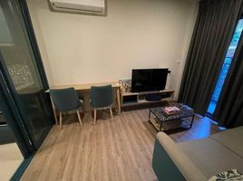 1 Bedroom Apartment for rent at The BASE Sukhumvit 50, Phra Khanong