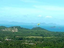  Land for sale in Koh Samui, Lipa Noi, Koh Samui