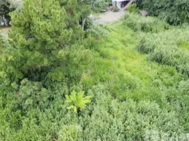  Grundstück zu verkaufen in Mae Rim, Chiang Mai, Pong Yaeng