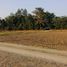  Land for sale in Nakhon Pathom, Thung Luk Nok, Kamphaeng Saen, Nakhon Pathom