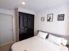 1 Schlafzimmer Appartement zu vermieten im Quintara Treehaus Sukhumvit 42, Phra Khanong