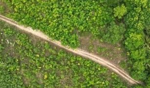 N/A Land for sale in Mai Khao, Phuket 