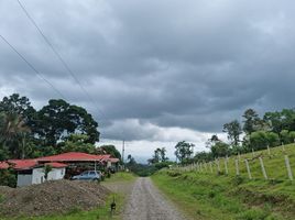 Land for sale in Costa Rica, Guacimo, Limon, Costa Rica