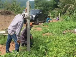  Grundstück zu verkaufen in Wang Thong, Phitsanulok, Wang Thong