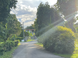  Land for sale in AsiaVillas, Chang Phueak, Mueang Chiang Mai, Chiang Mai, Thailand