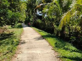  Land for sale in Krabi, Khlong Prasong, Mueang Krabi, Krabi