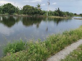  Grundstück zu verkaufen in Bang Sao Thong, Samut Prakan, Bang Sao Thong