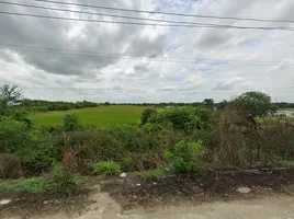  Grundstück zu verkaufen in Sai Noi, Nonthaburi, Sai Yai