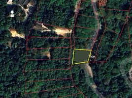  Land for sale in Phuket Town, Phuket, Chalong, Phuket Town