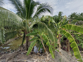 在曼谷出售的 土地, Tha Kham, 曼坤天, 曼谷