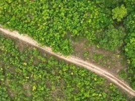  Land for sale in Thalang, Phuket, Mai Khao, Thalang