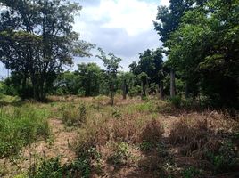  Land for sale in Nong Phrong, Si Maha Phot, Nong Phrong