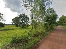  Land for sale in Bueng Kan, Tha Sa-At, Seka, Bueng Kan